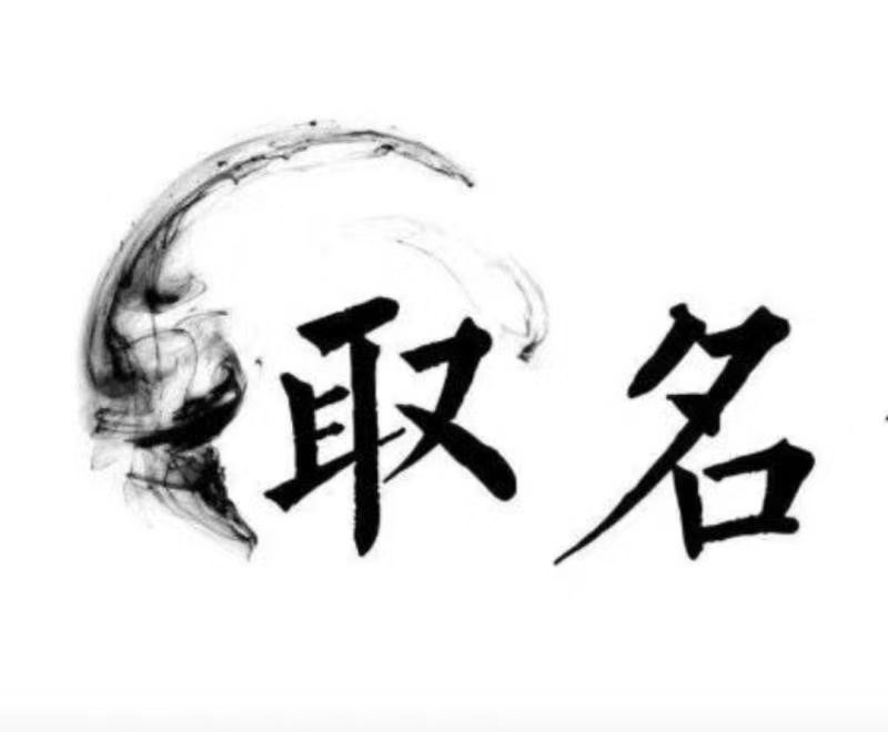  武强宝宝取名 大师一对一人工起名
